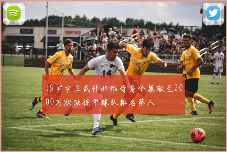 19岁中卫武什科维奇身价暴涨至2000万欧助德甲球队排名第八
