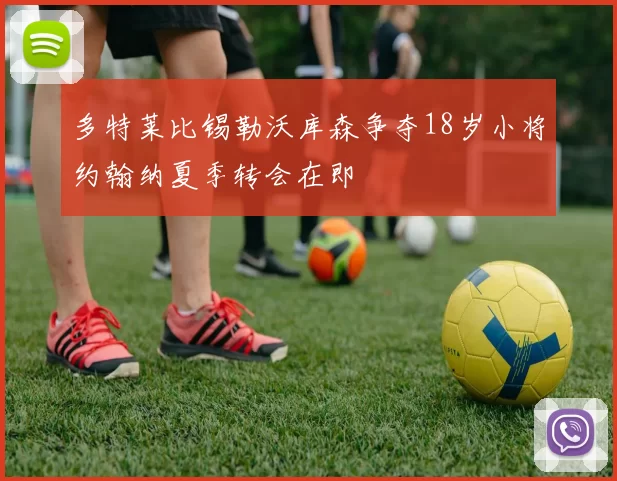 多特莱比锡勒沃库森争夺18岁小将约翰纳夏季转会在即